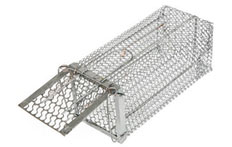 Rat Trap Rat Traps